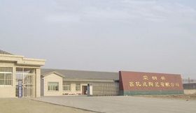 公司介绍