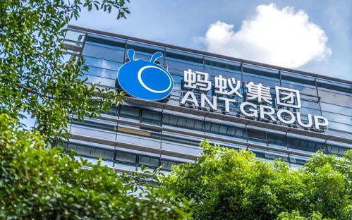 双呗 纠偏,蚂蚁回归支付本源